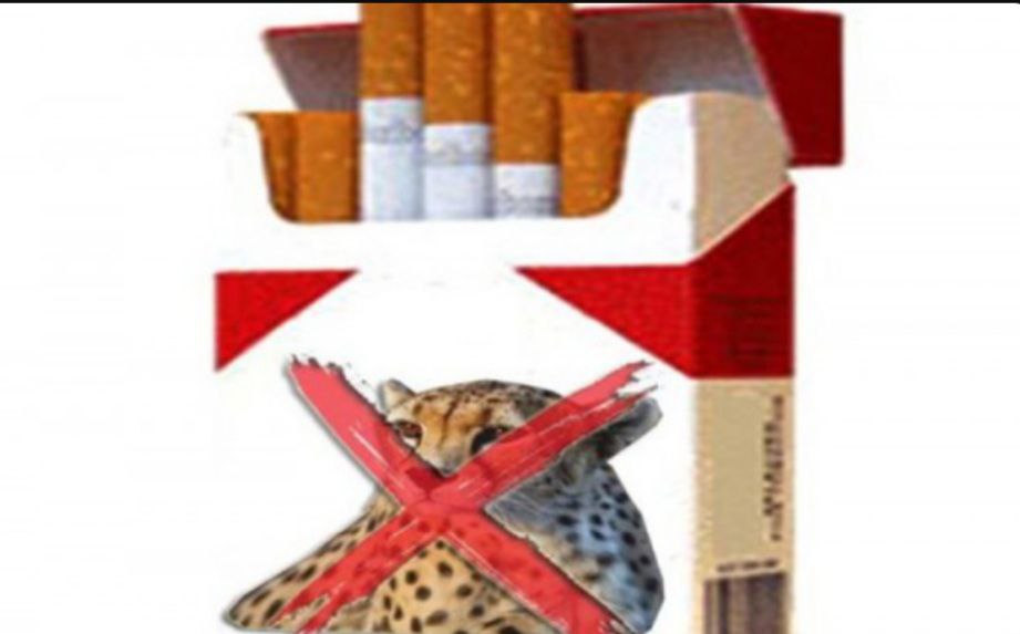 یوز ایرانی در بازار دخانیات
