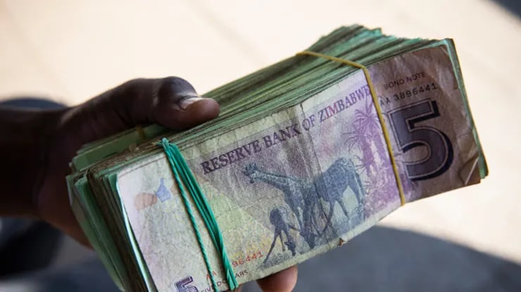 افت 75 در صدی  ارزهای آفریقایی در بازارهای ارز 2022