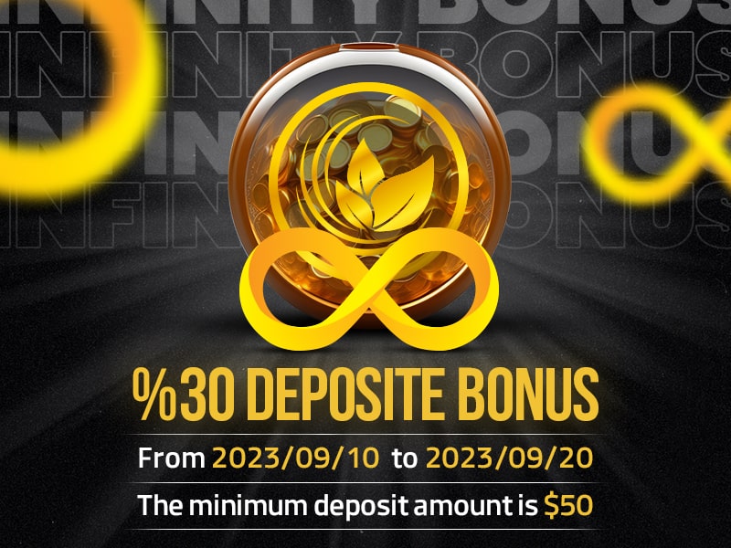 30% Deposit Bonus