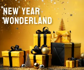 New year wonderland