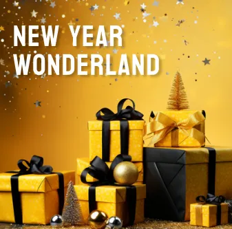 New year wonderland