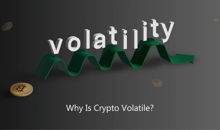Why Are Cryptocurrencies So Volatile?