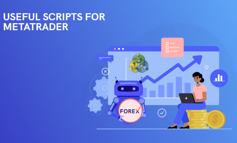 اسکریپت در متاتریدر چیست؟ و چگونه آن را بسازیم؟