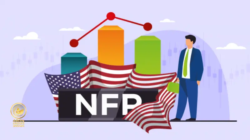 گزارش NFP چیست؟