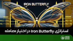 استراتژی پروانه آهنی