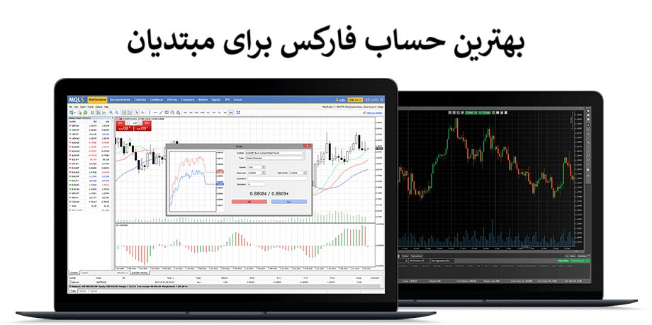 بهترین حساب فارکس برای مبتدیان