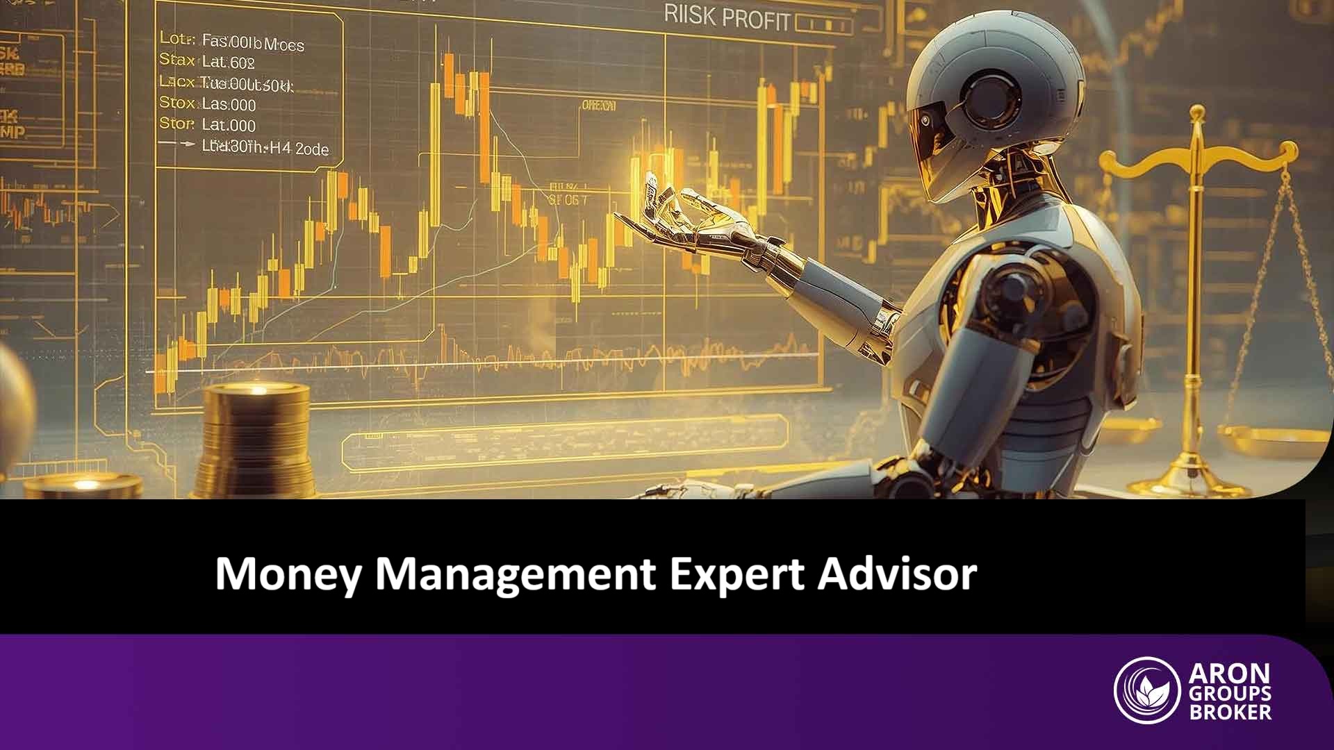 money management expert