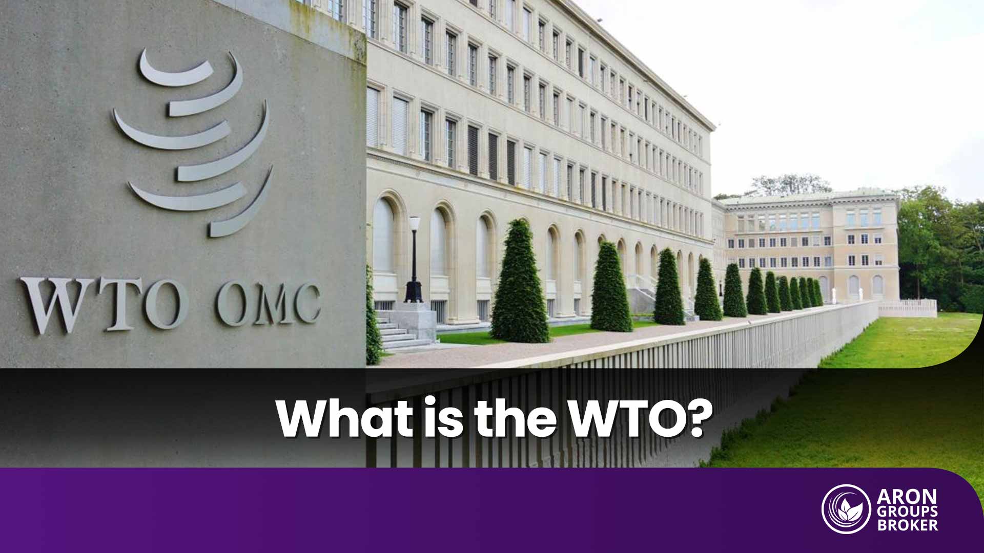 A Comprehensive Look at the Role and Impact of the World Trade Organization on the Global Economy