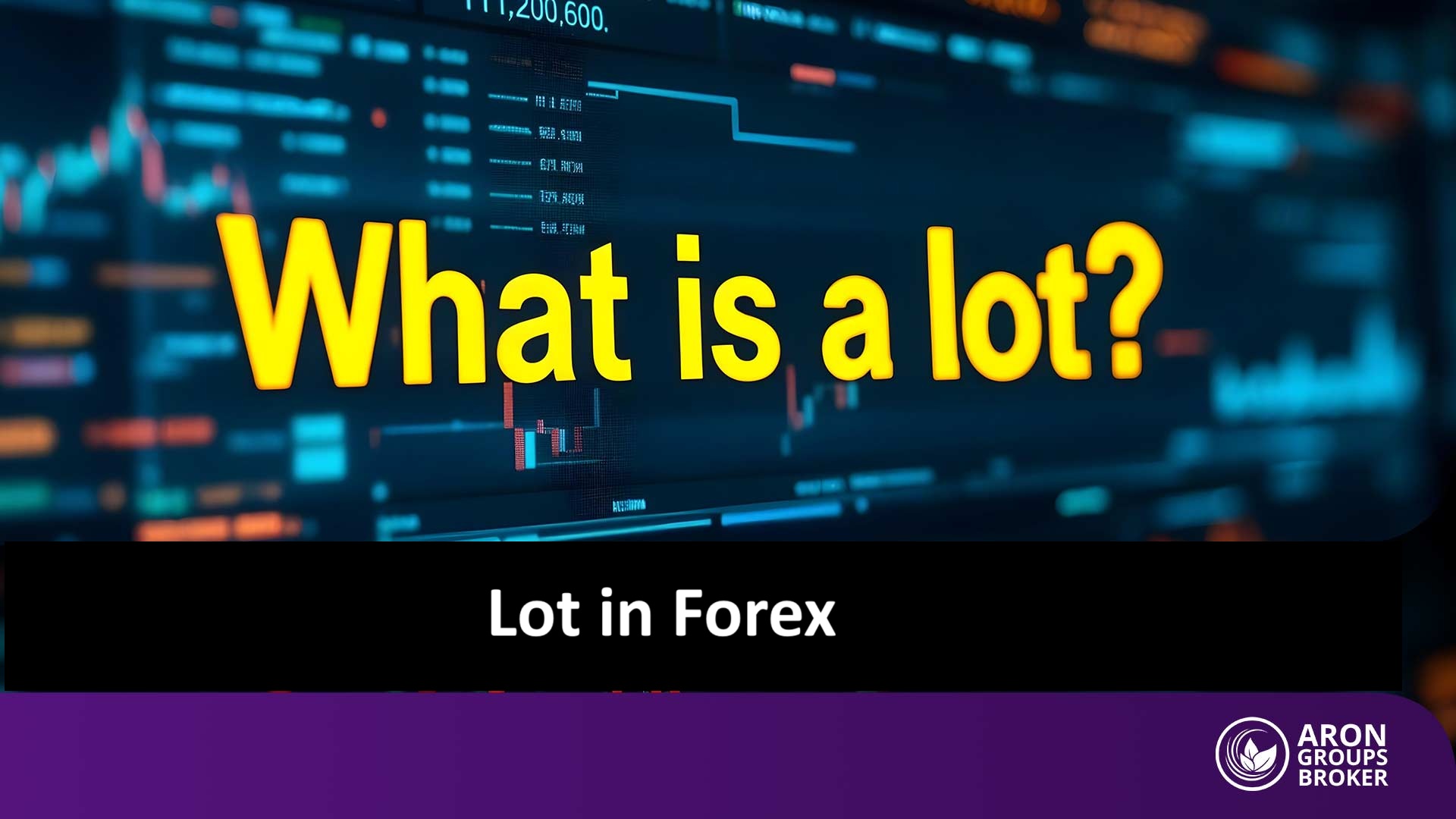 Lot in forex