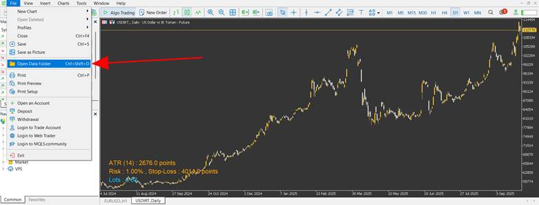 pip value indicator​