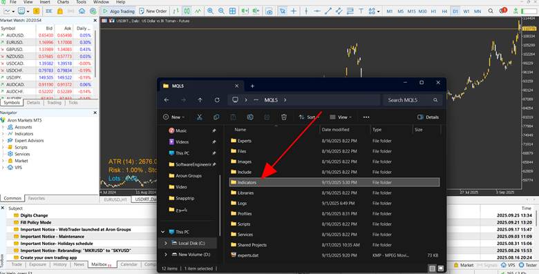 How to Download and Effectively Use the Pip Value Indicator in MetaTrader 5