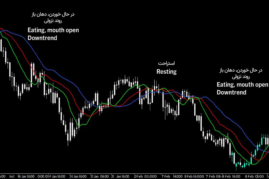 استراتژی بیل ویلیامز​