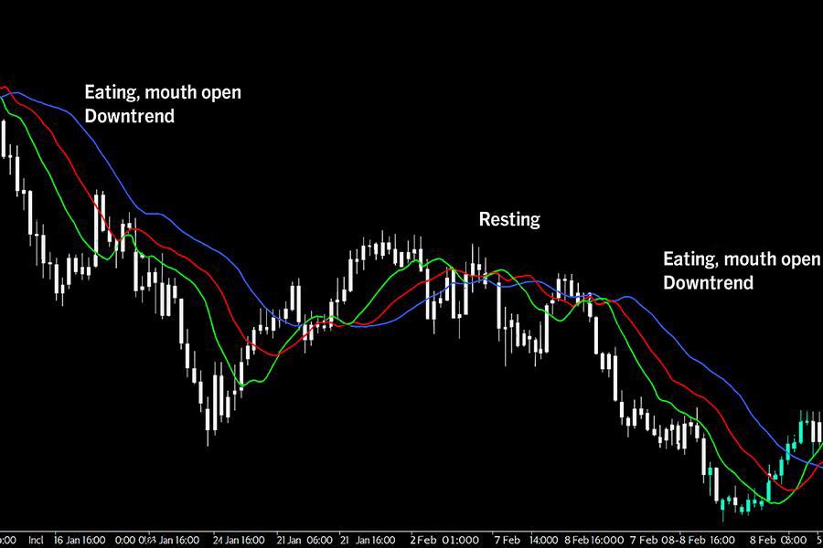 A Comprehensive Guide to the Bill Williams Strategy for Professional Traders