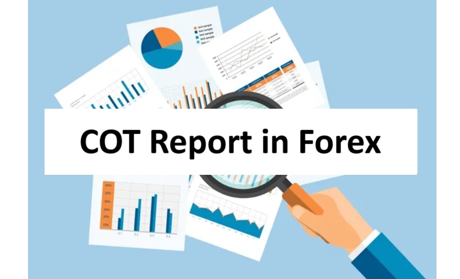 cot report