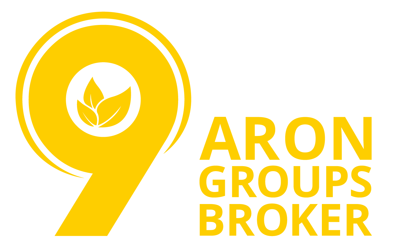 <? bloginfo('name') ?>