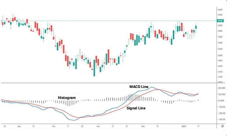 how to use macd indicator in tradingview​