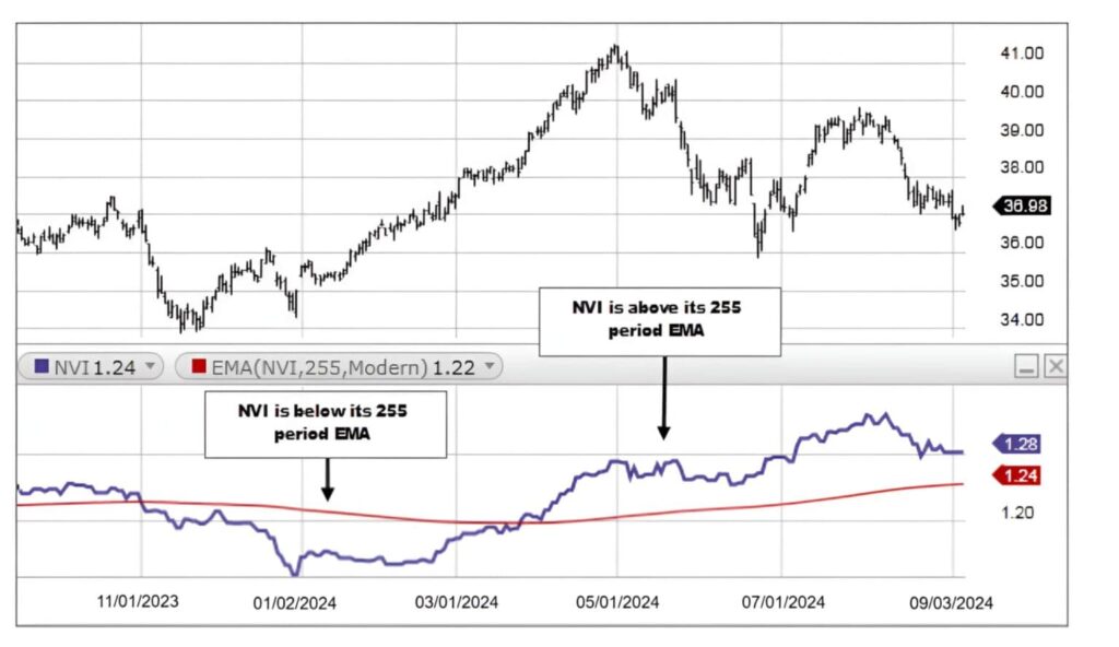 How does the Negative Volume Index (NVI) reveal hidden market trends?