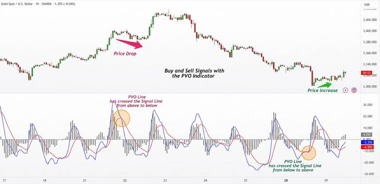 What Is the PVO Indicator and How Does It Analyse Trading Volume?