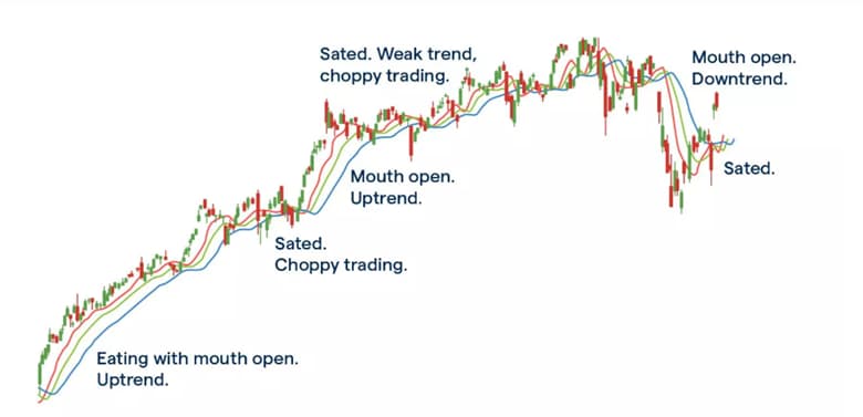 How to Trade Using the MACD and Alligator Strategy