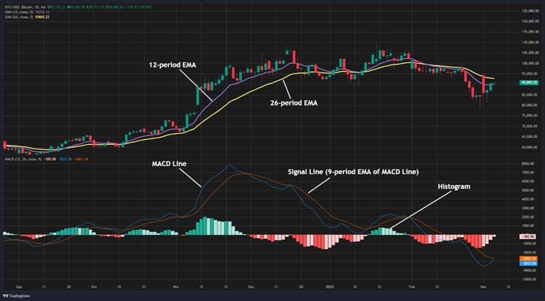 How to Trade Using the MACD and Alligator Strategy
