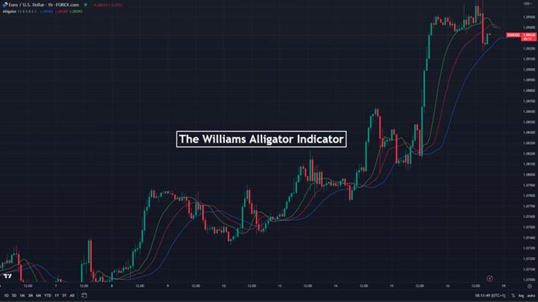 macd and alligator strategy