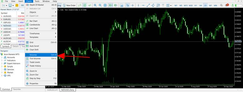 Enabling or Disabling Grid Lines and Volumes