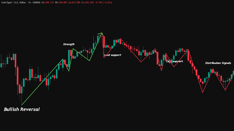 Transition to Markdown Phase