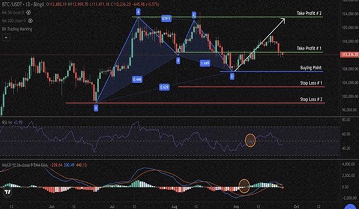 ورقة الغش لنموذج Gartley: تداول النماذج التوافقية على MT5