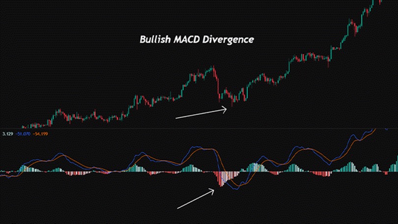 مثال على تباعد MACD صعودي: السعر يطبع قاعًا أدنى بينما يطبع MACD قاعًا أعلى، مُشيرًا إلى ضعف الزخم الهبوطي.