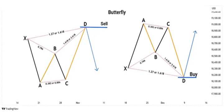 ورقة الغش لنموذج Gartley: تداول النماذج التوافقية على MT5