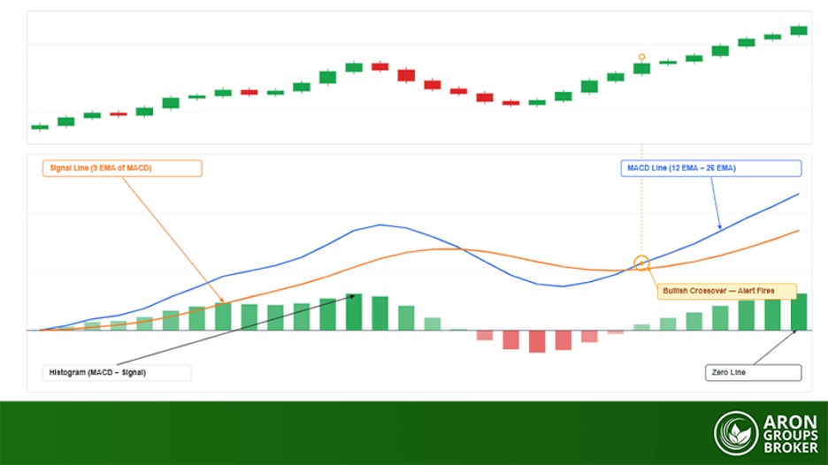 macd chart line