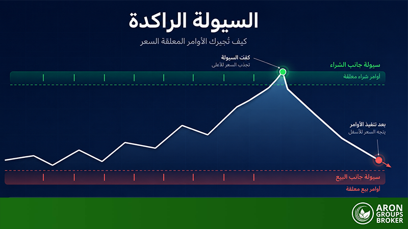 السيولة الراكدة (Resting Liquidity): كيف تحرّك الأوامر المعلقة السعر؟