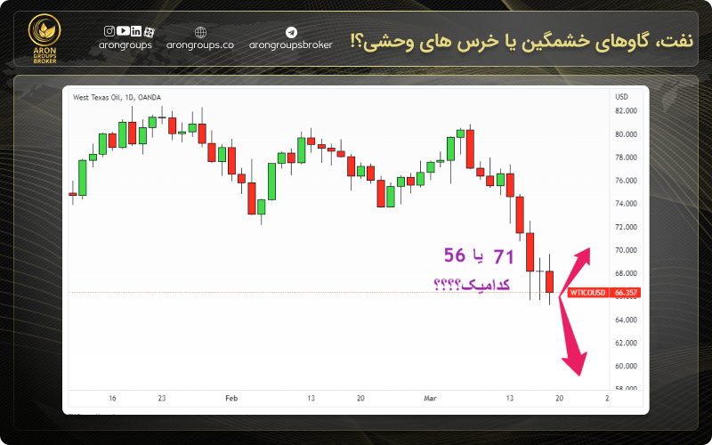 نفت، گاوهای خشمگین یا خرس های وحشی؟!