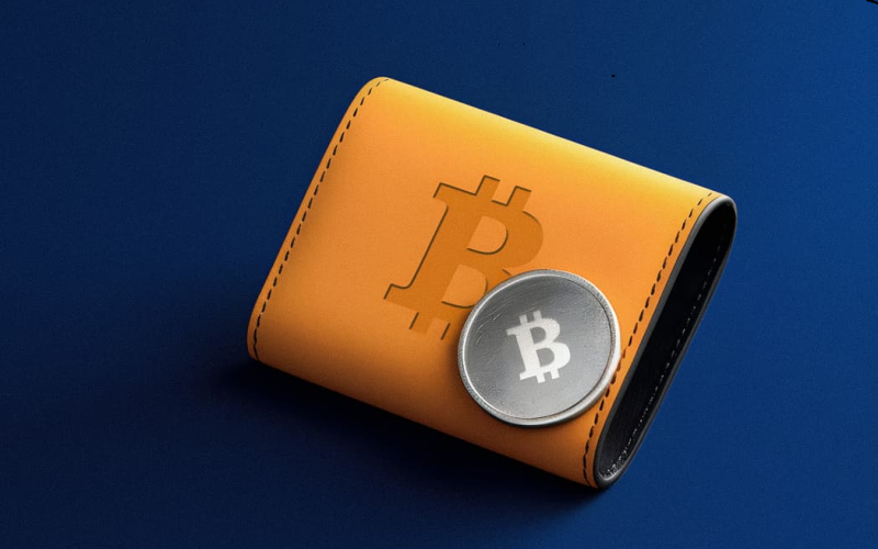 WHAT-IS-A-BITCOIN-WALLET-1